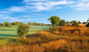 Donnafugata Golf Club - Parkland Course - buca 6