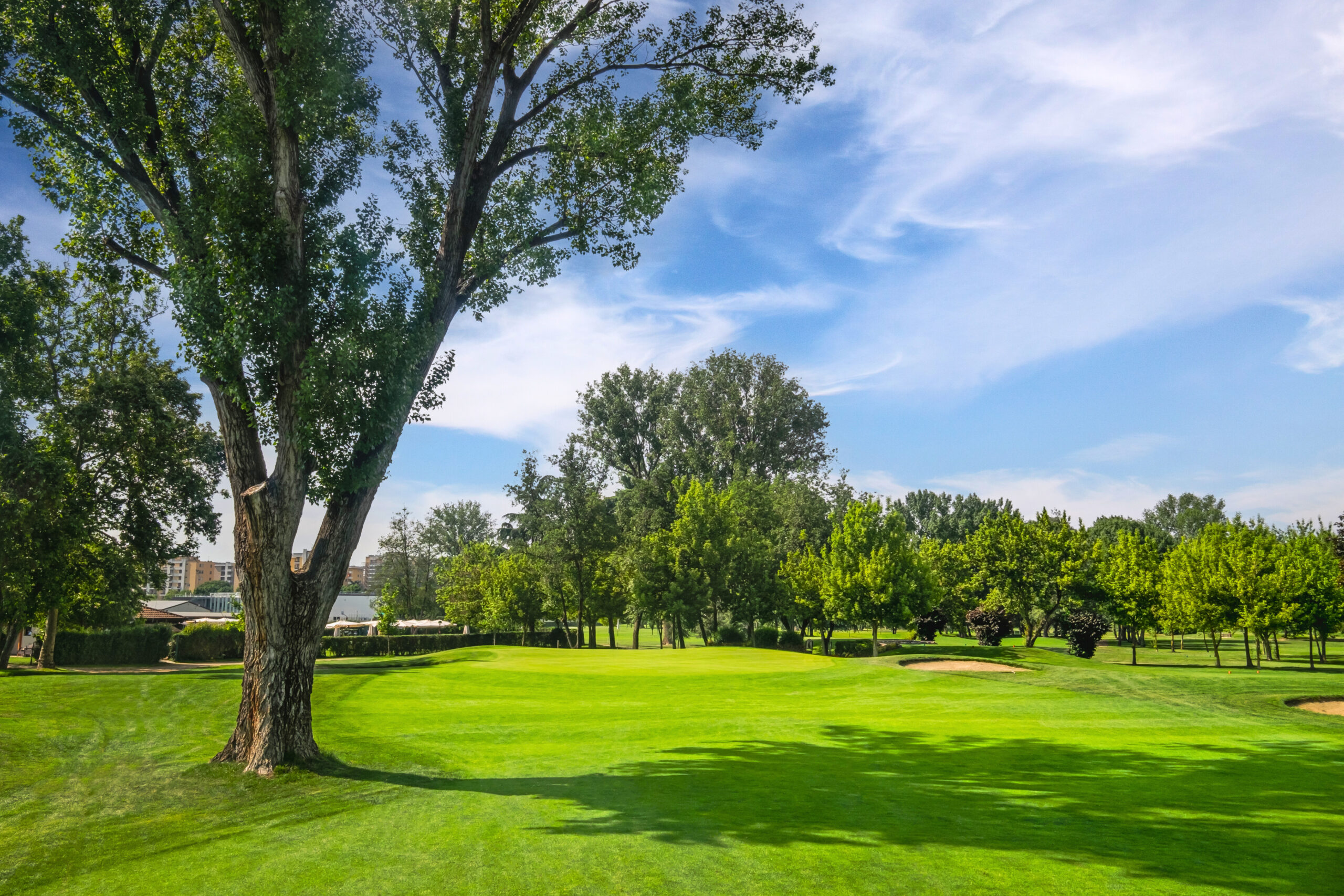 Le_rovedine_golf_club_milano_buca16